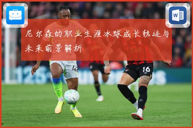 尼尔森的职业生涯冰球成长轨迹与未来前景解析