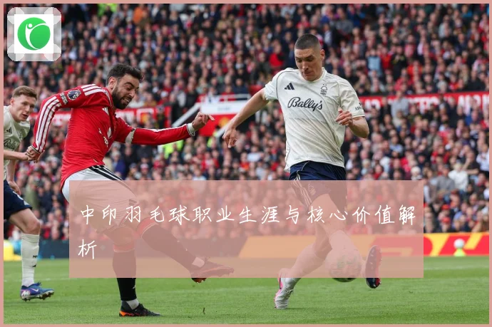 中印羽毛球职业生涯与核心价值解析