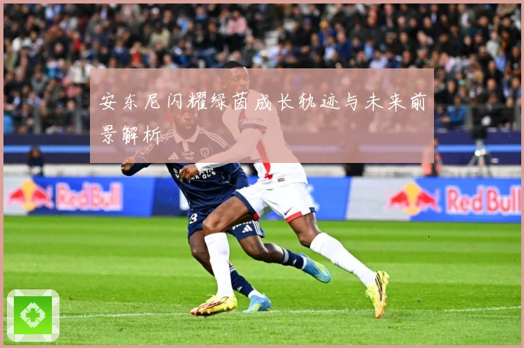 安东尼闪耀绿茵成长轨迹与未来前景解析