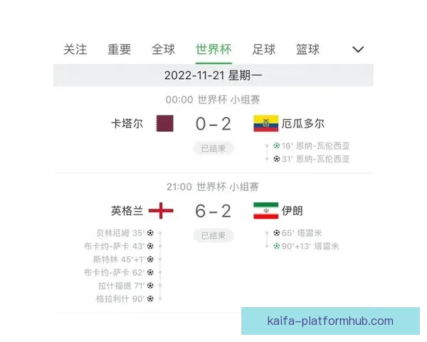 世界杯竞猜赔率解析与投注策略全面分析助力精准预测赛事结果